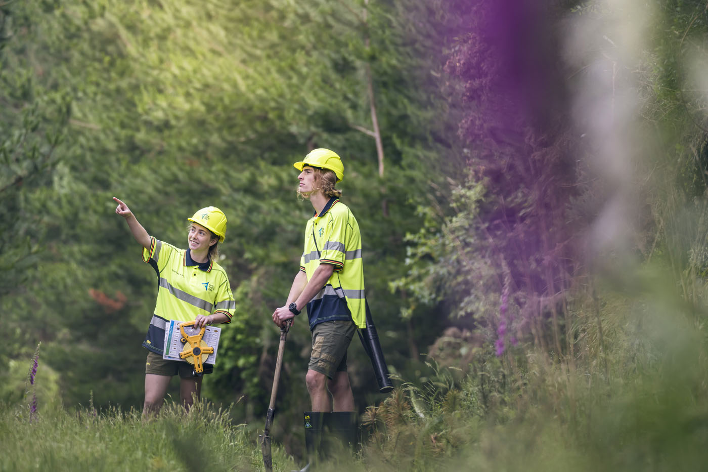 Students to get first-hand look at forestry careers