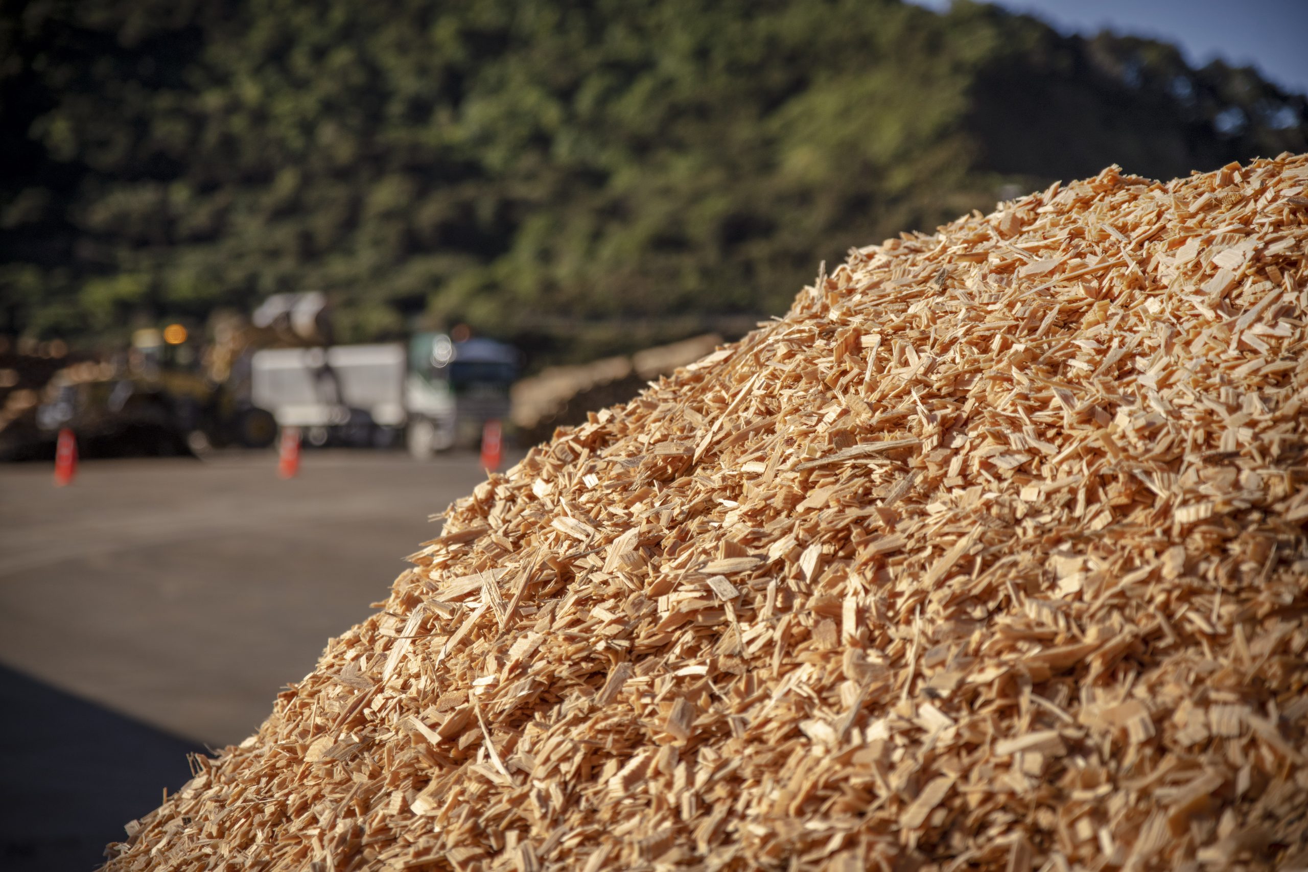 OneFortyOne’s Kaituna Sawmill to export woodchip from Picton to Japan