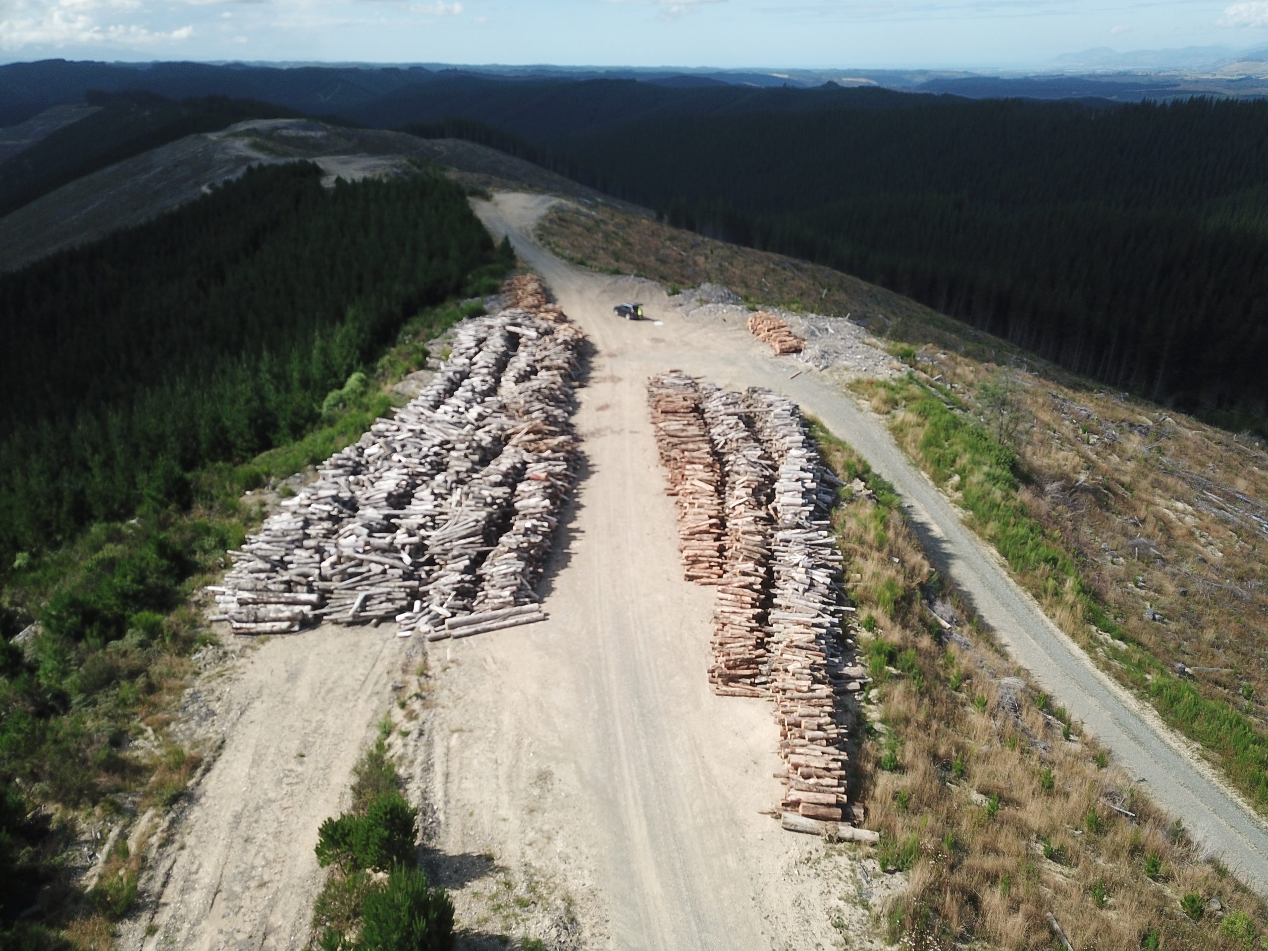 How forestry slash can become a positive resource
