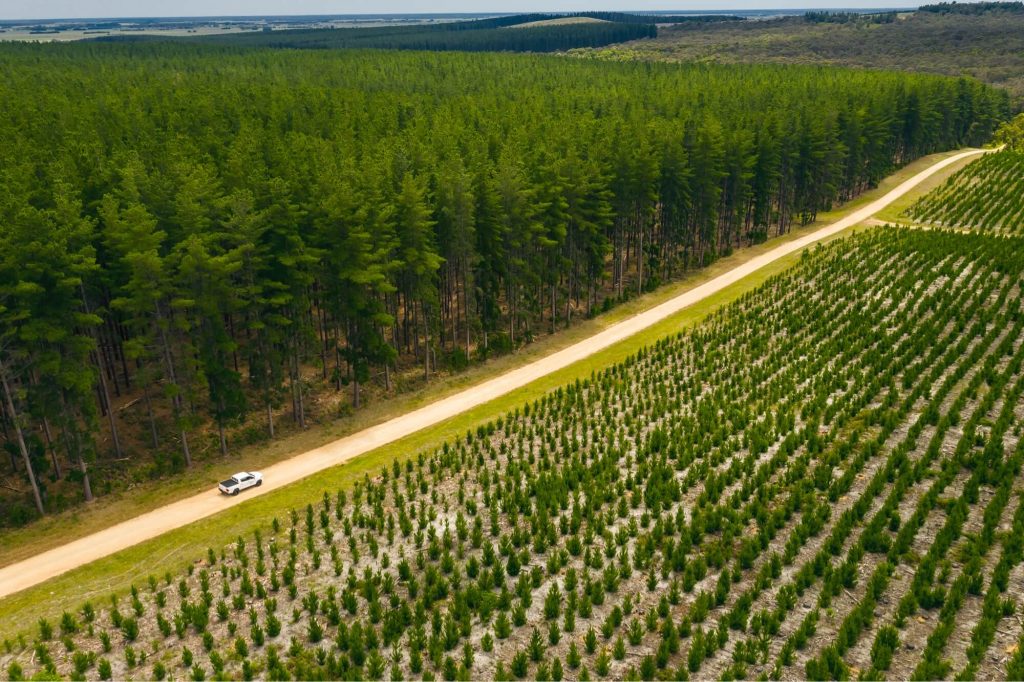 public-access-information-one-forty-one