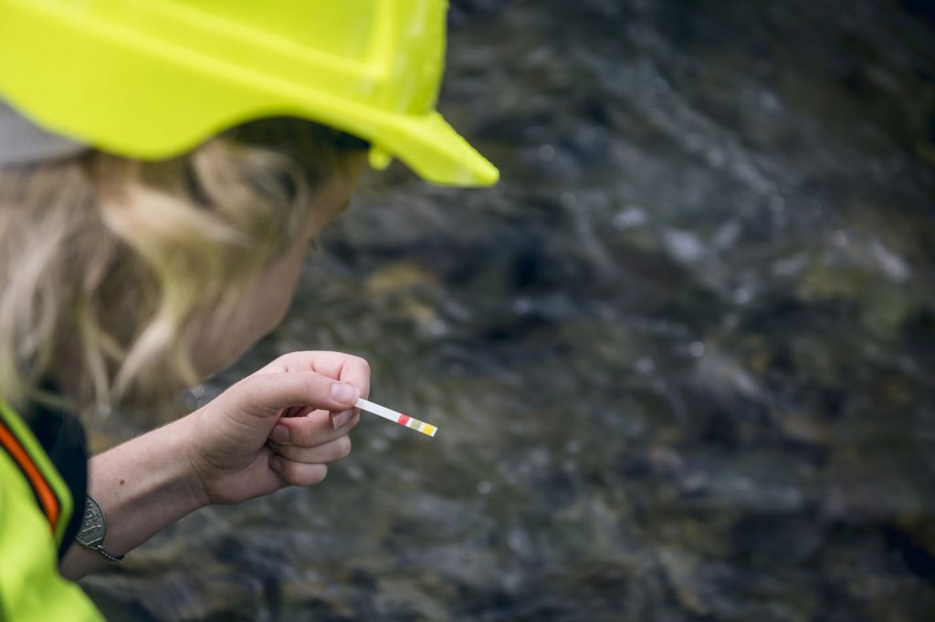 Testing Forest Water Water testing confirms minimal environmental impact from forestry - One ...